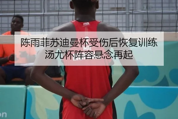 陈雨菲苏迪曼杯受伤后恢复训练 汤尤杯阵容悬念再起