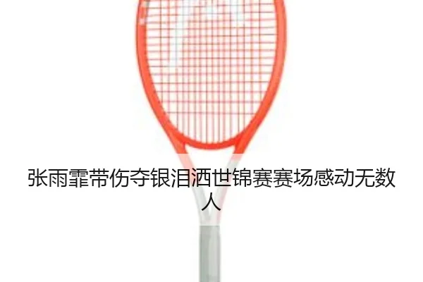张雨霏带伤夺银泪洒世锦赛赛场感动无数人